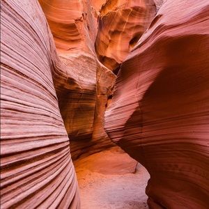 Meet your Posher, Ally